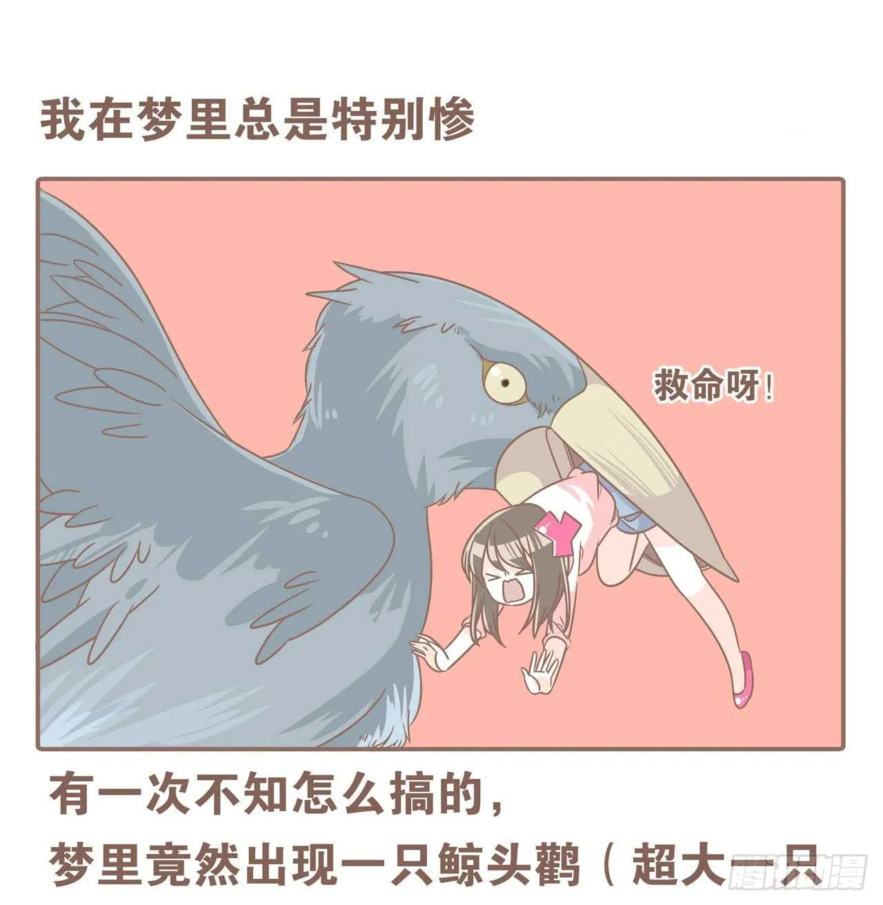 今天你做梦了吗 第13页