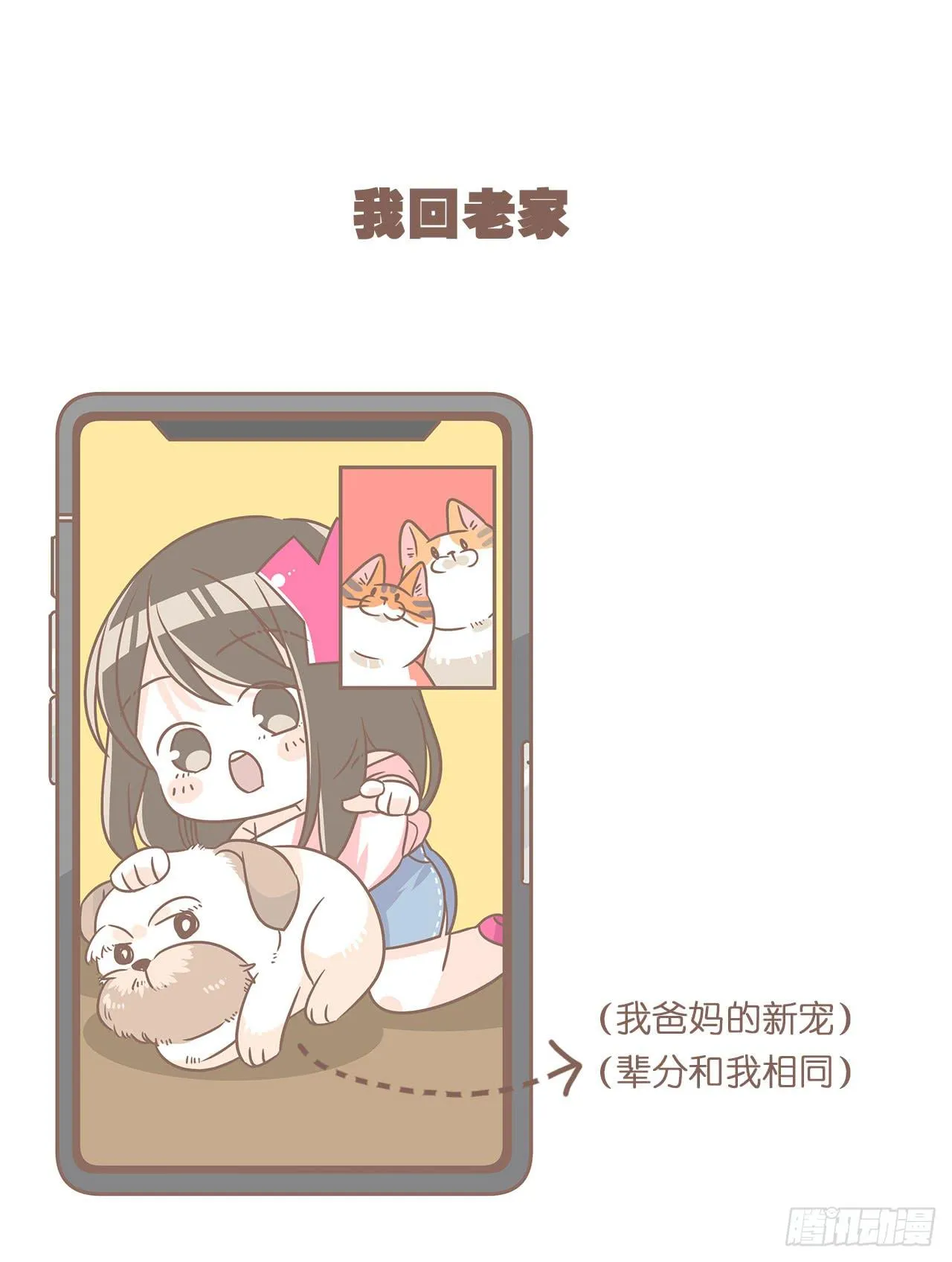 邀请你进行视频通话 第27页