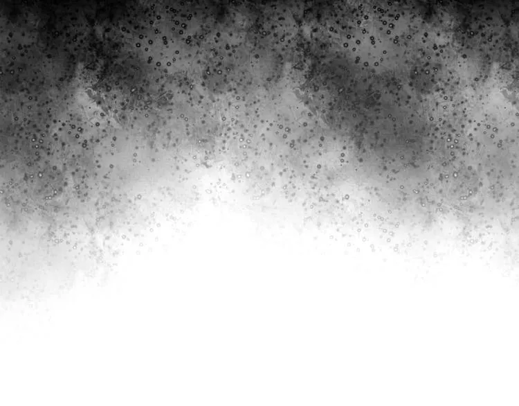 第20话 警告 第8页