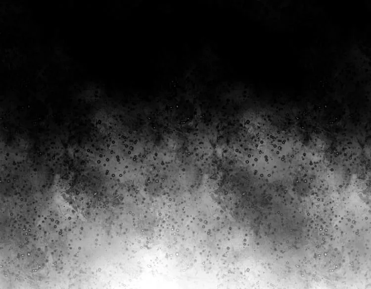 第19话 暴走！ 第87页