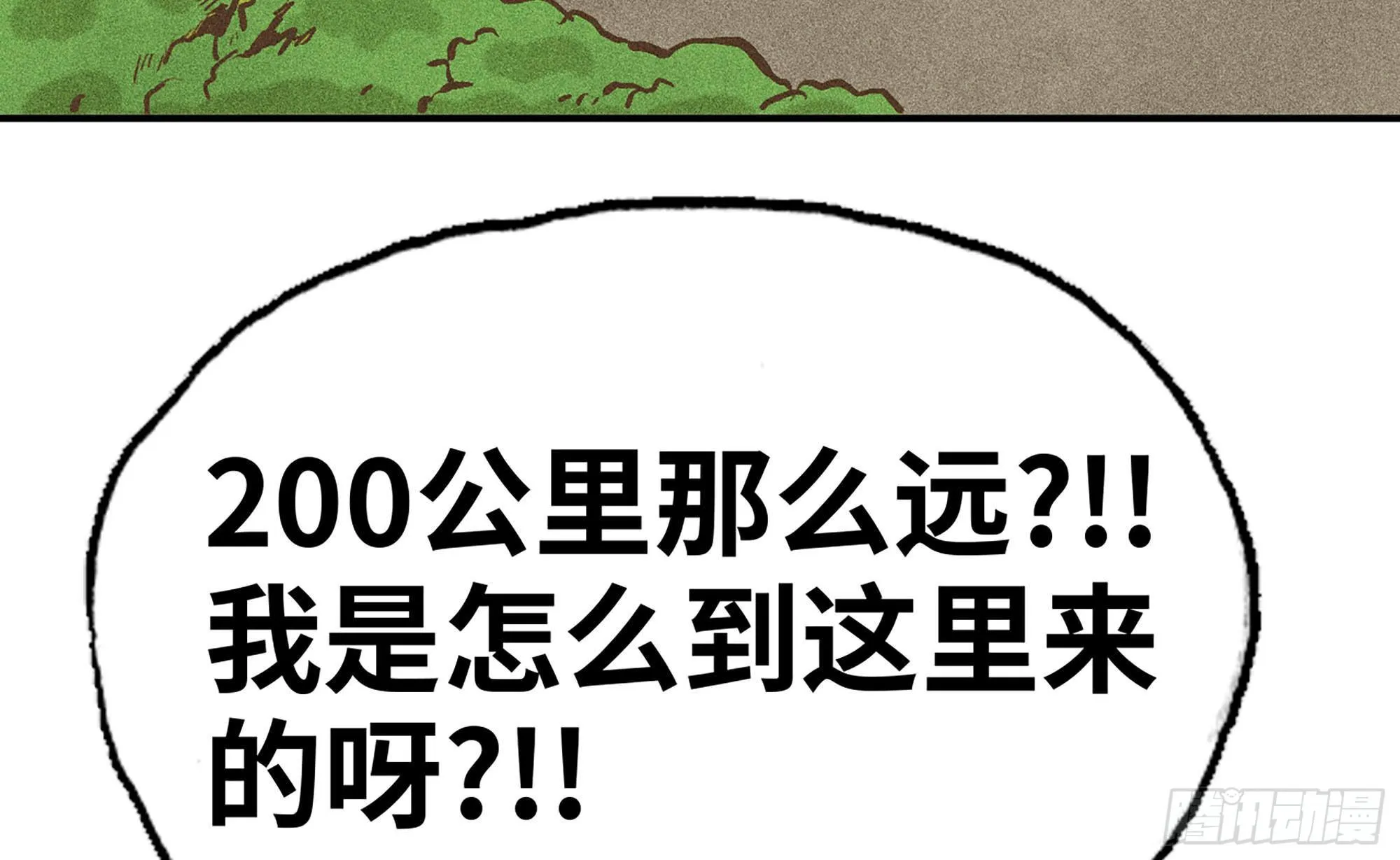 12- 野外 第13页