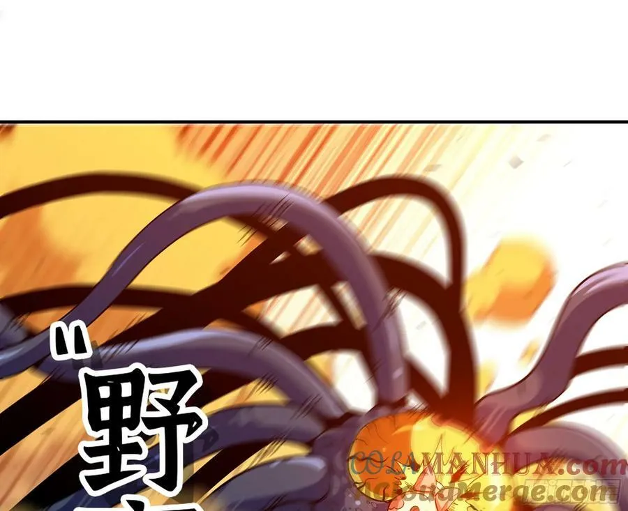 95 物理攻击 第73页