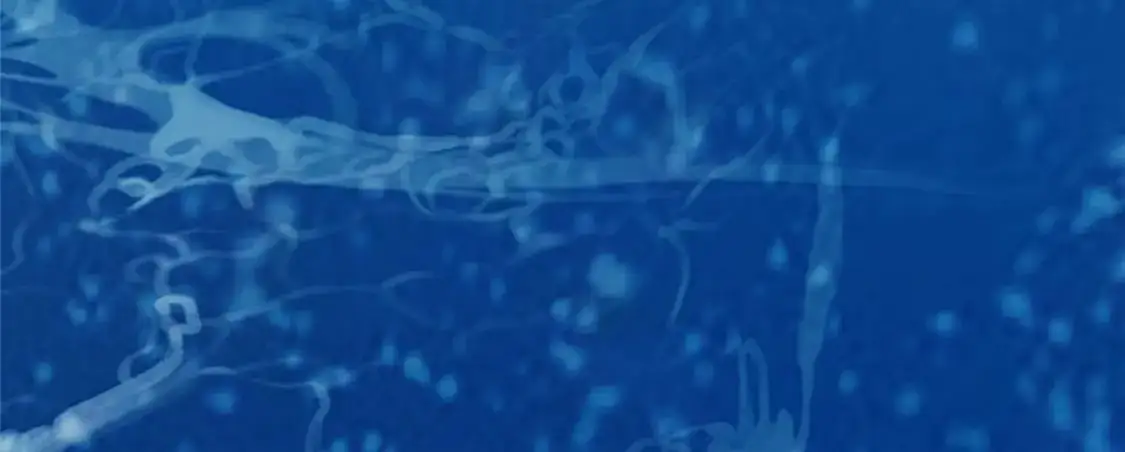 136 玩个游戏 第64页