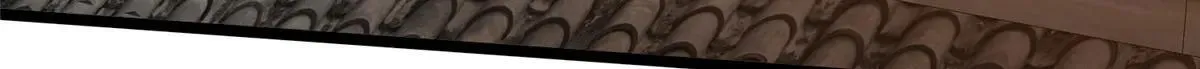 222 家主 第13页