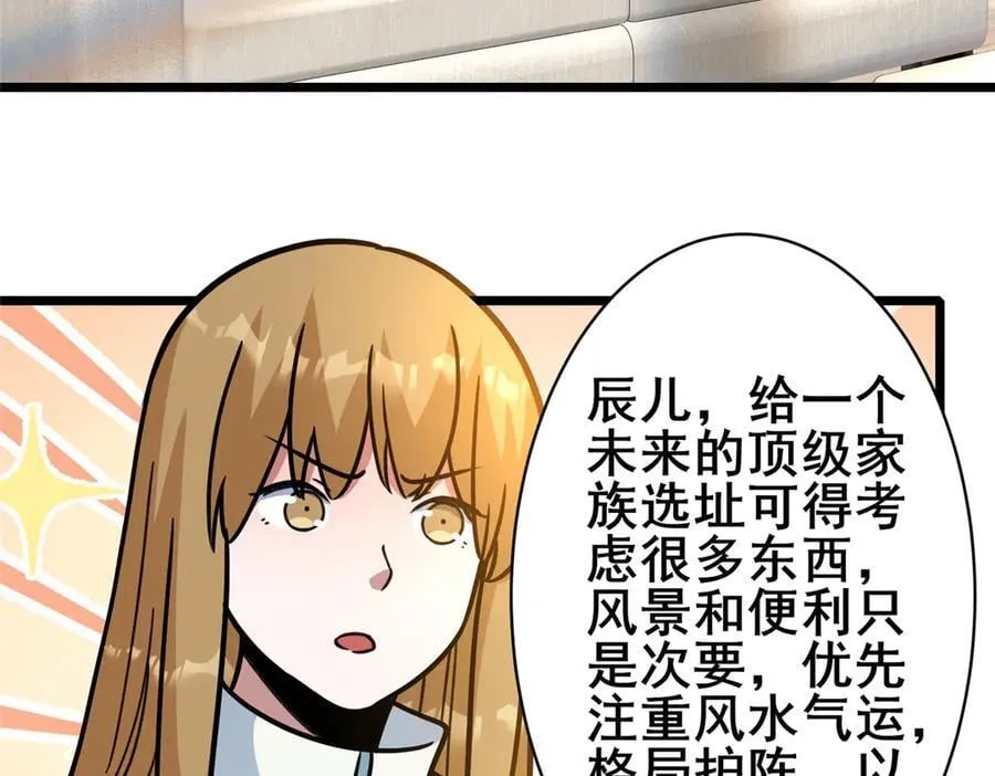226 重振叶家 第47页