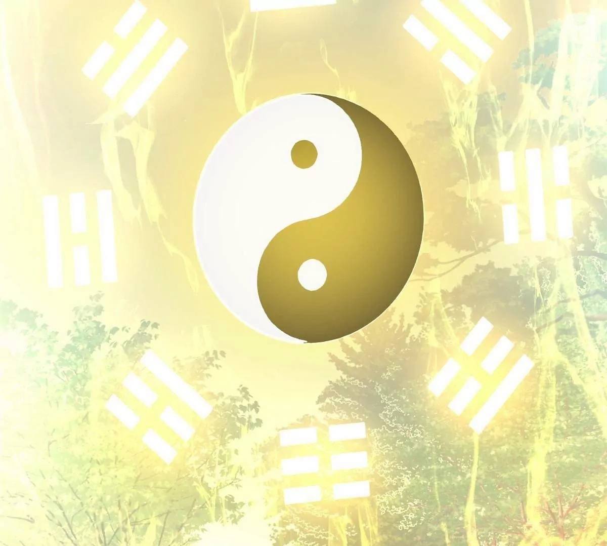 283 上古护灵阵 第50页