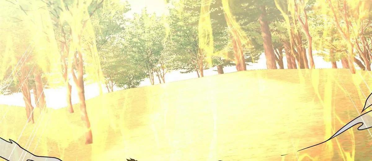 283 上古护灵阵 第51页