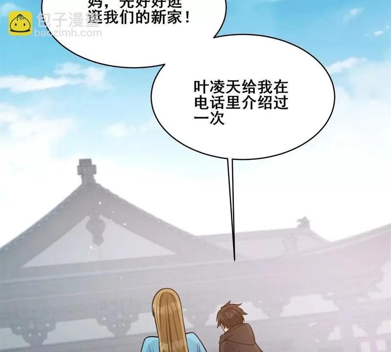 311 落剑宗与万剑宗 第67页
