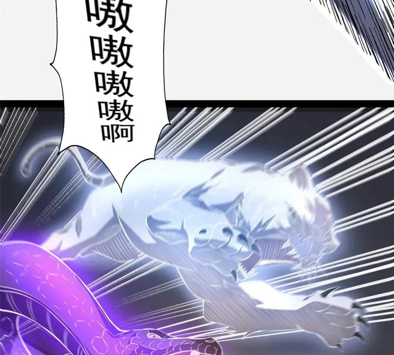 312 家族大阵 第124页