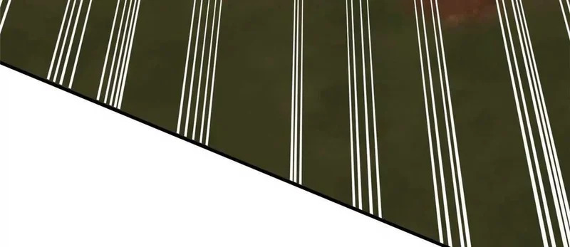 316 一群帮手？ 第101页