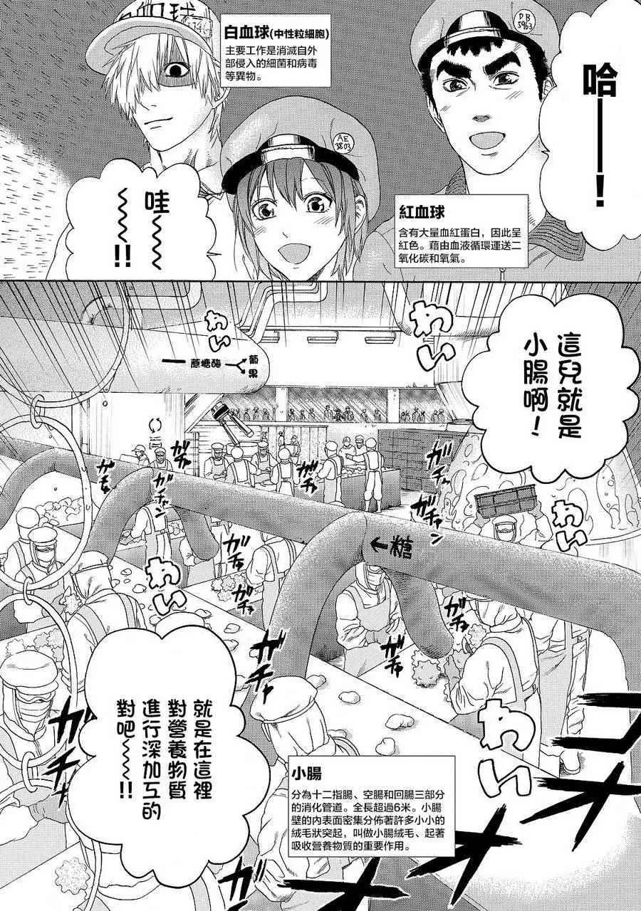第19话 派伊尔淋巴结 第2页