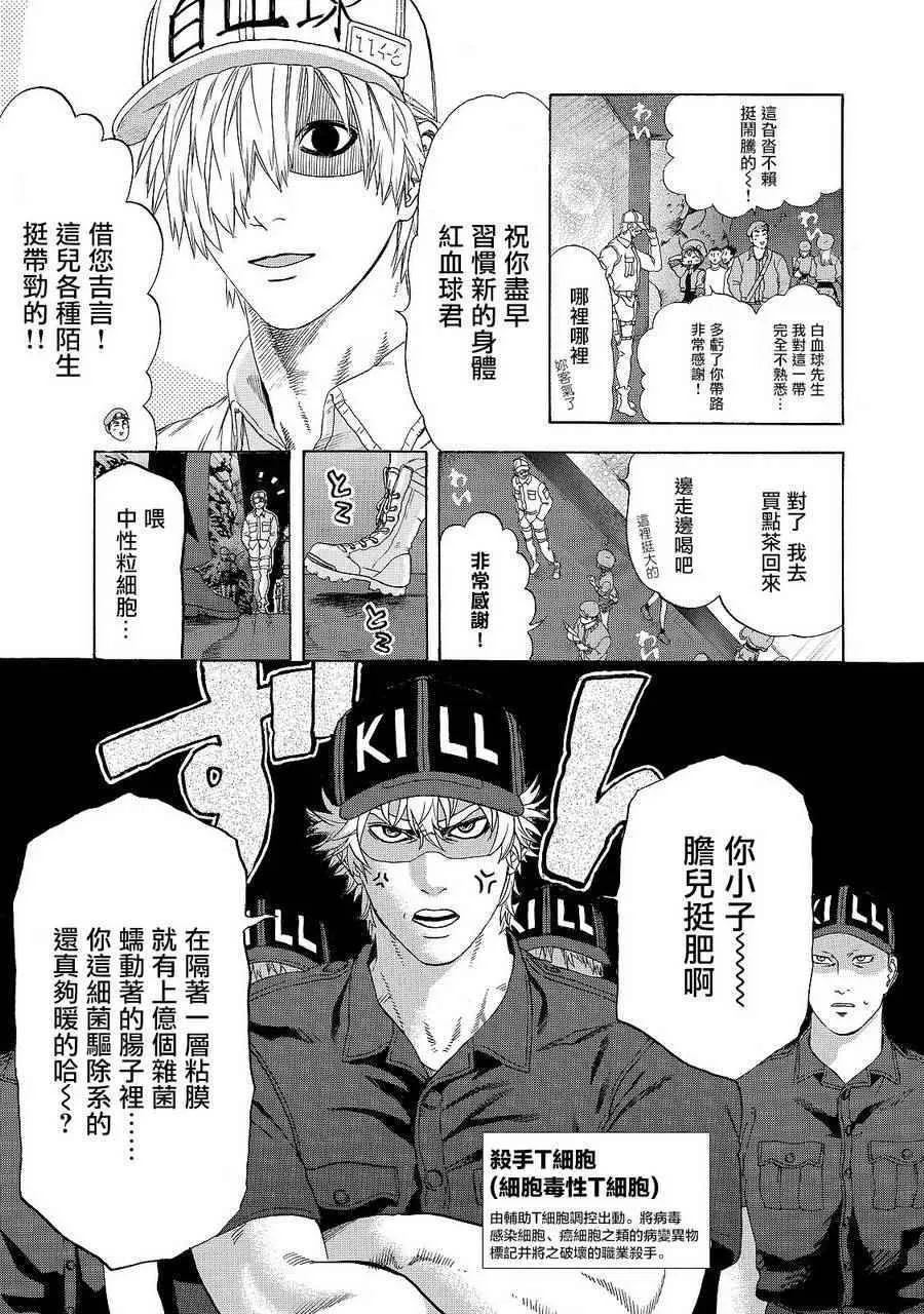 第19话 派伊尔淋巴结 第3页