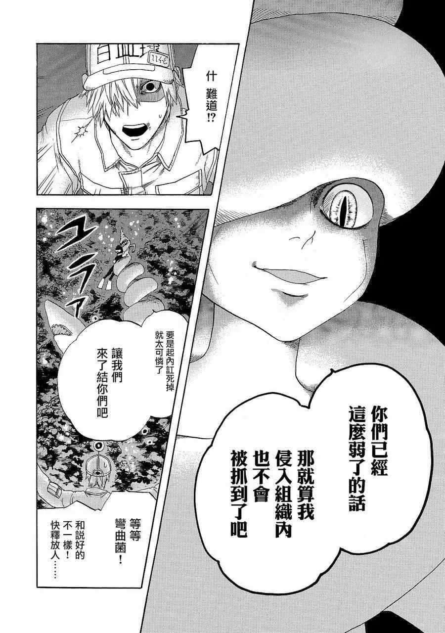 第19话 派伊尔淋巴结 第14页