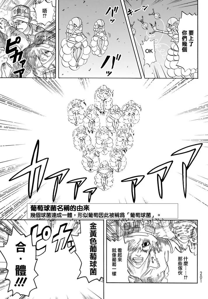第15话 金黄色的的葡萄球菌 第13页