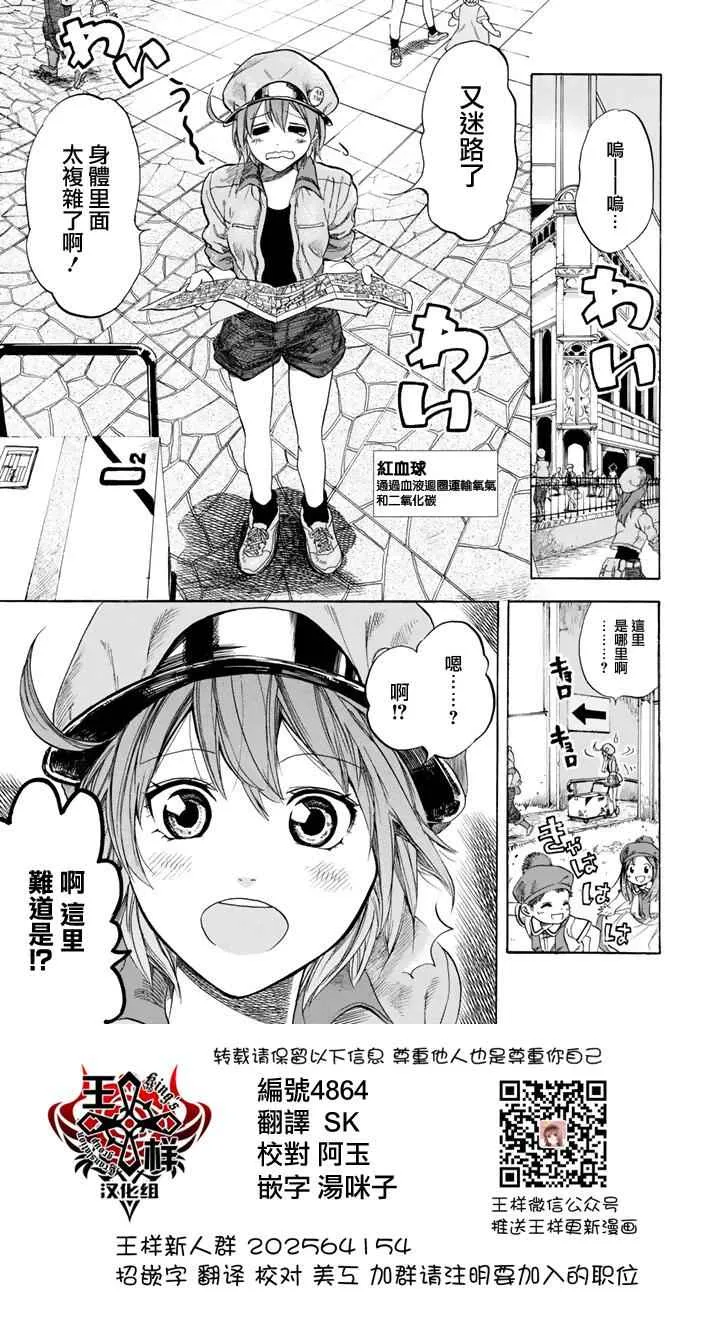 第7话 有核红细胞和骨髓细胞 第1页