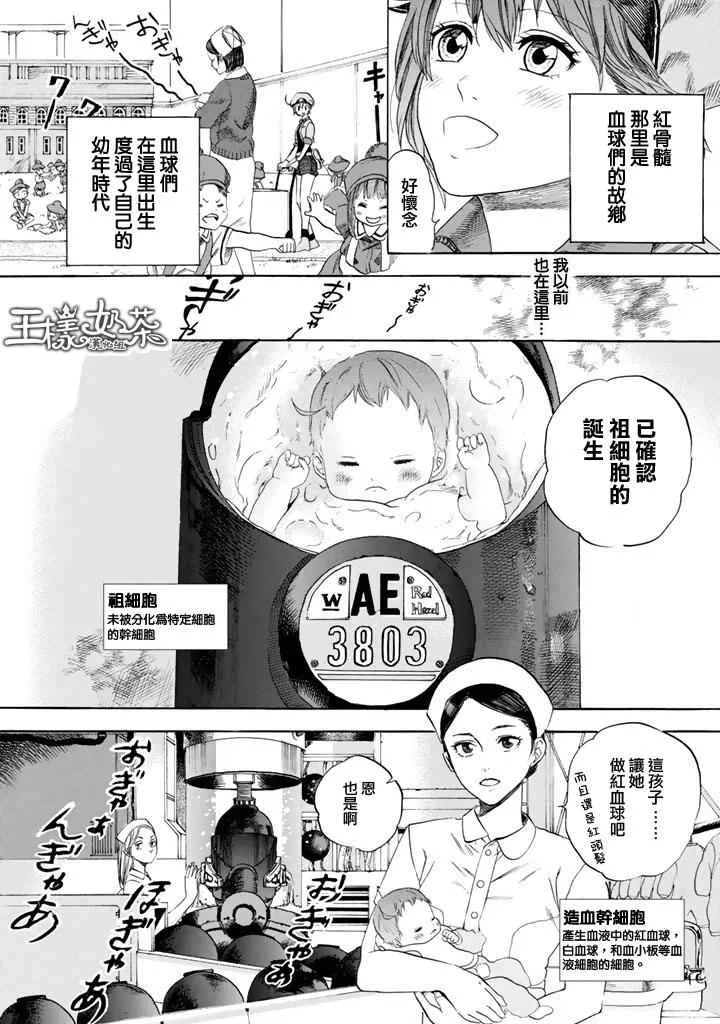第7话 有核红细胞和骨髓细胞 第3页