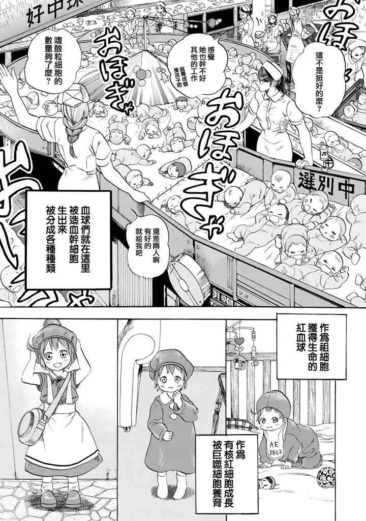 第7话 有核红细胞和骨髓细胞 第4页