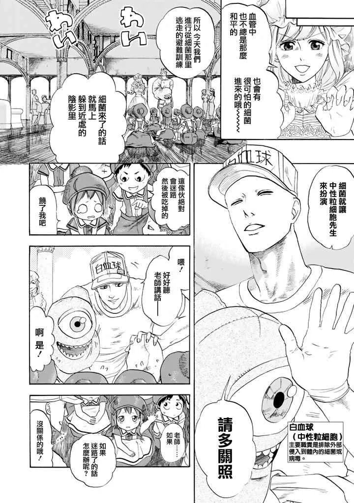 第7话 有核红细胞和骨髓细胞 第7页