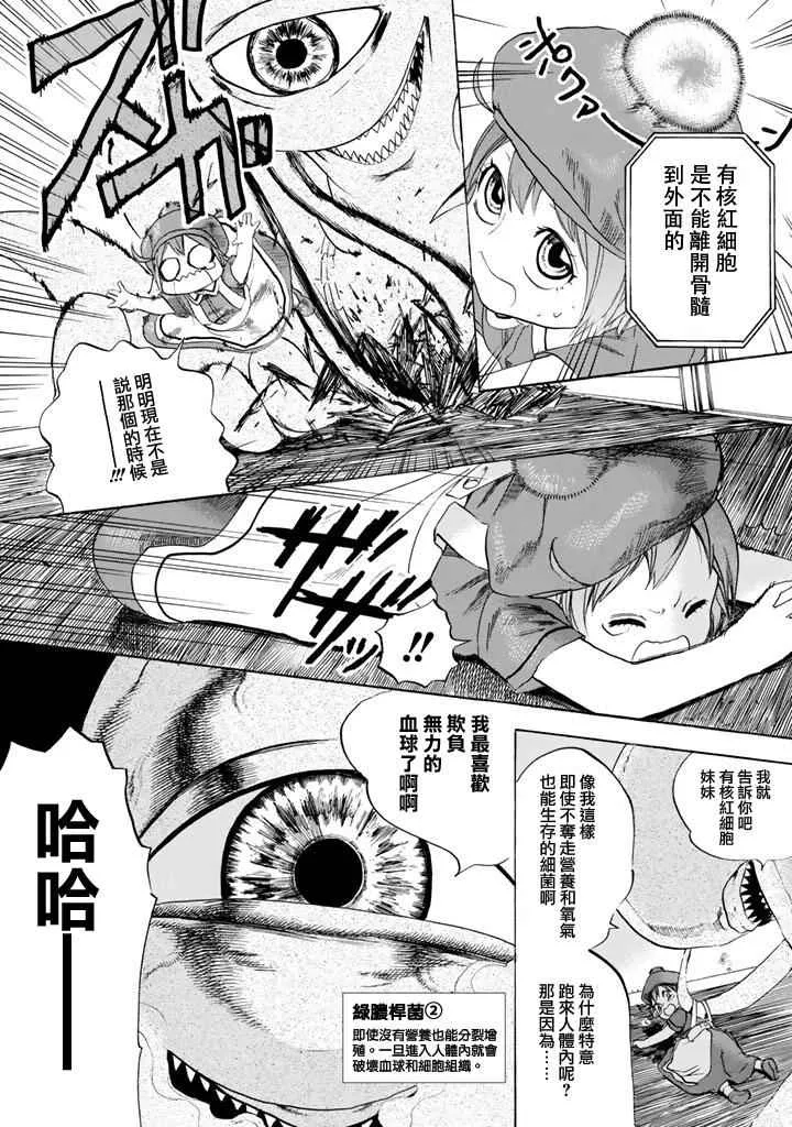第7话 有核红细胞和骨髓细胞 第15页