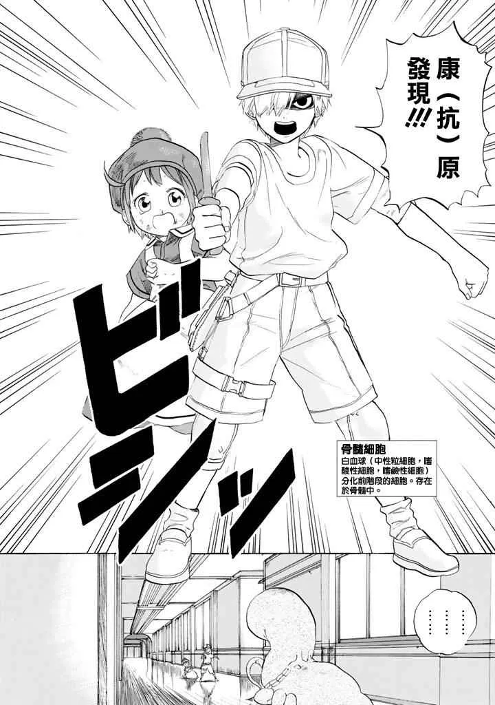 第7话 有核红细胞和骨髓细胞 第19页