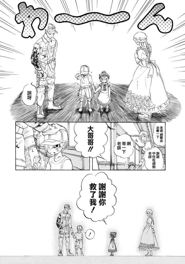第7话 有核红细胞和骨髓细胞 第25页