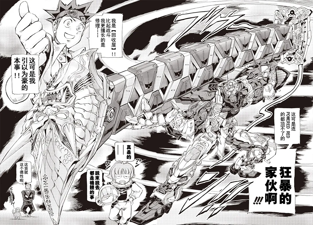 SP-06 第13页
