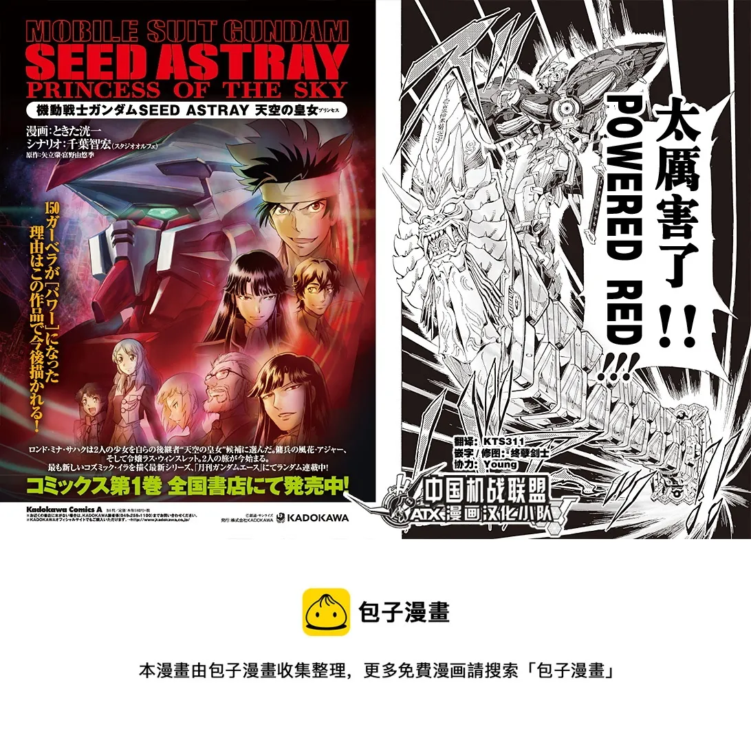 SP-06 第14页