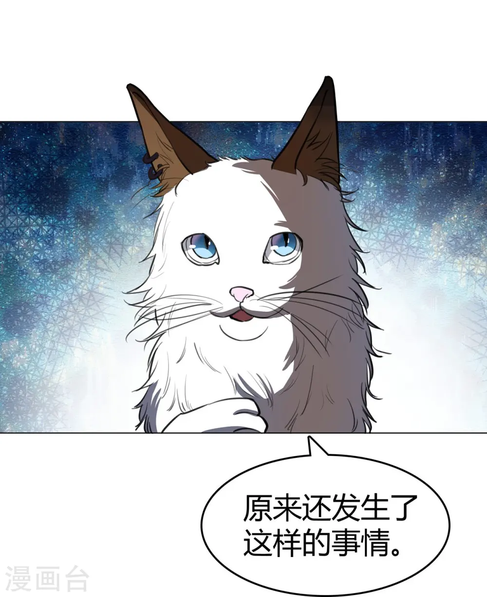 第29话 准备大闹一场了！ 第17页