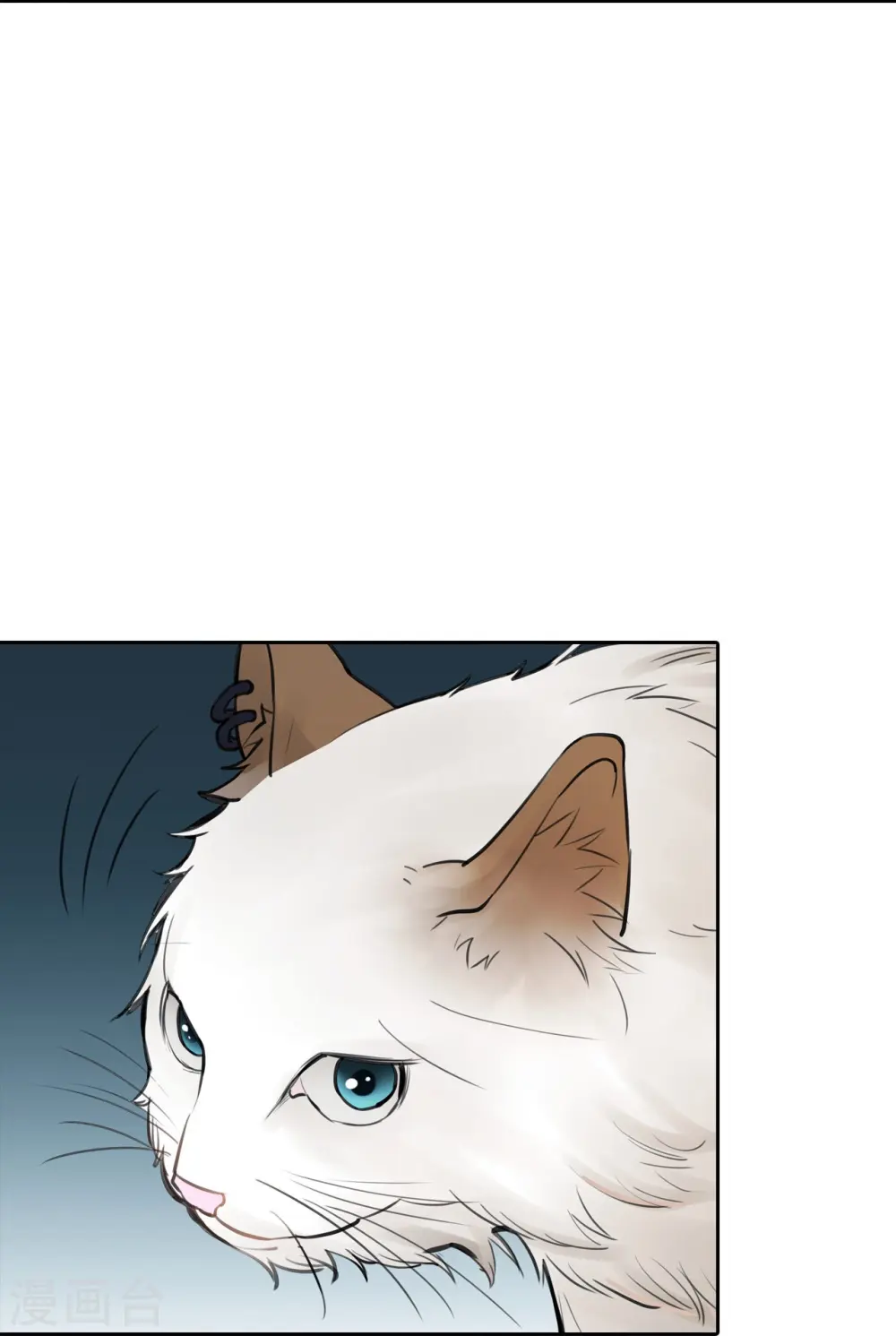 第21话 出走的雨夜 第13页