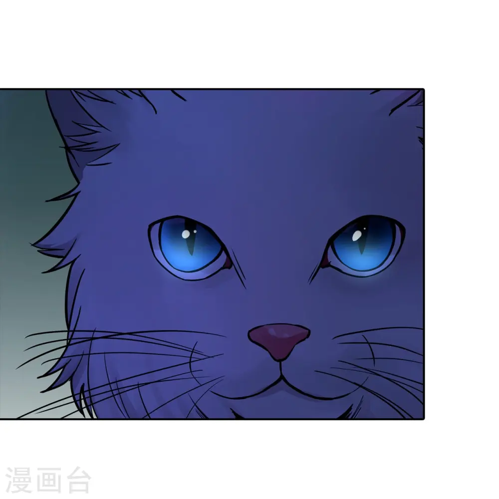 第21话 出走的雨夜 第52页