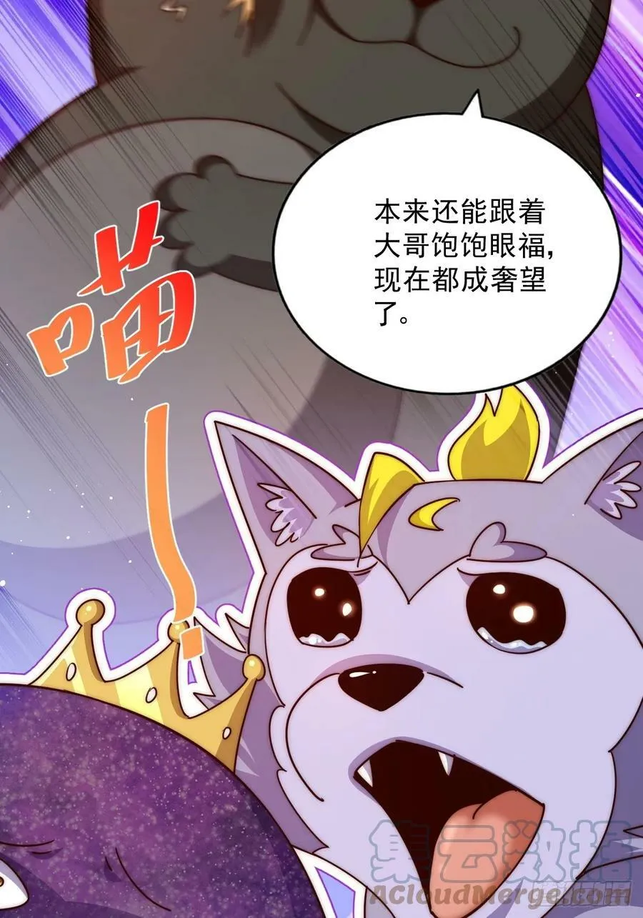 第203话 离开暗影岛 第4页