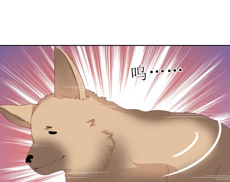 第56话 救人 第12页