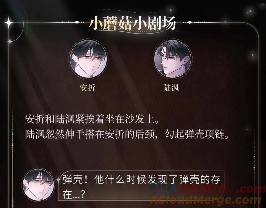 弹壳暗语 第4页