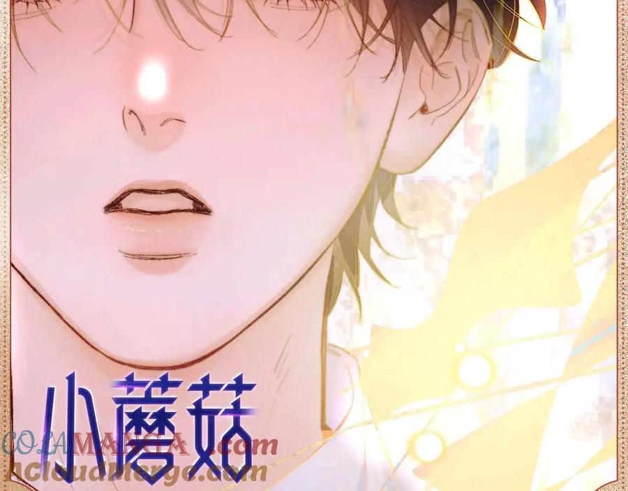 暂栖之地 第8页
