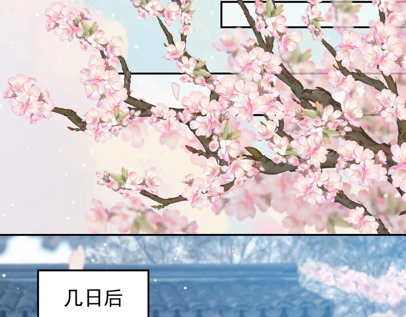 第233话：他会接受我的求婚吗…？ 第5页