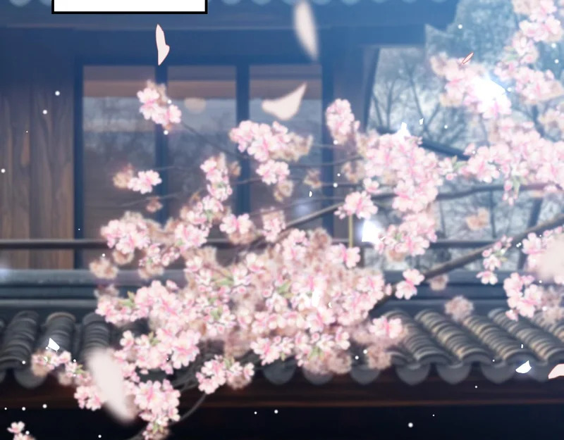 第233话：他会接受我的求婚吗…？ 第6页