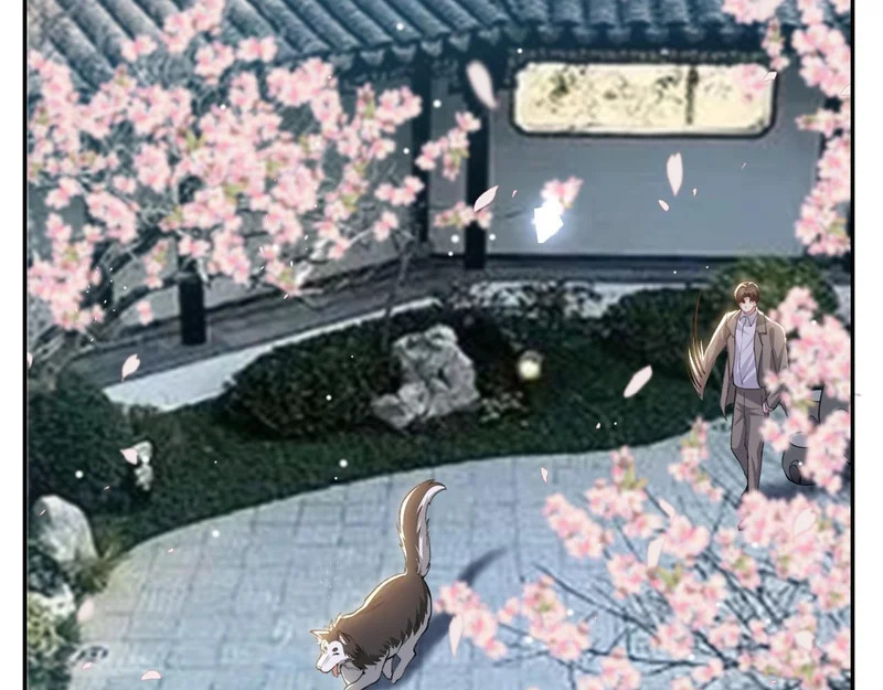 第233话：他会接受我的求婚吗…？ 第8页