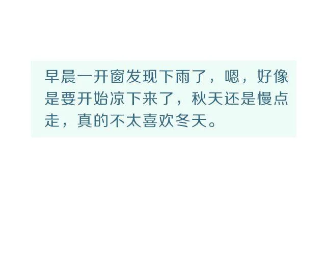 第33期 牛肉芝士面包片 第2页