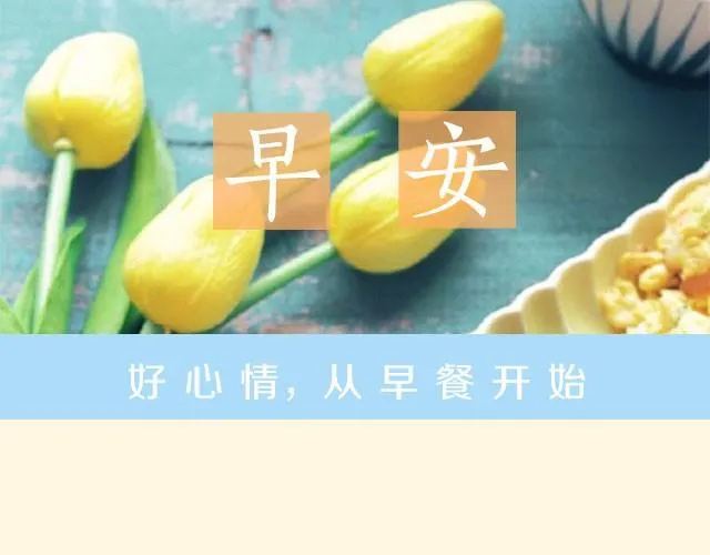 第13期 沙拉鸡蛋面包 第1页