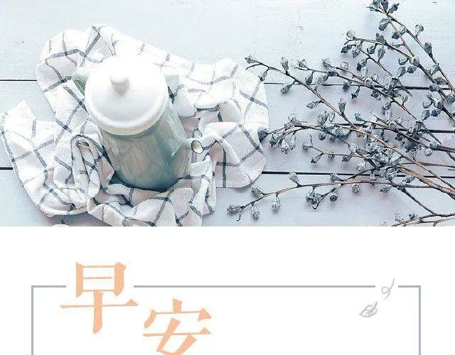 第24期 黑椒牛肉蔬菜炒饭 第1页