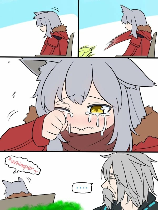05 孤独的灰狼 第2页