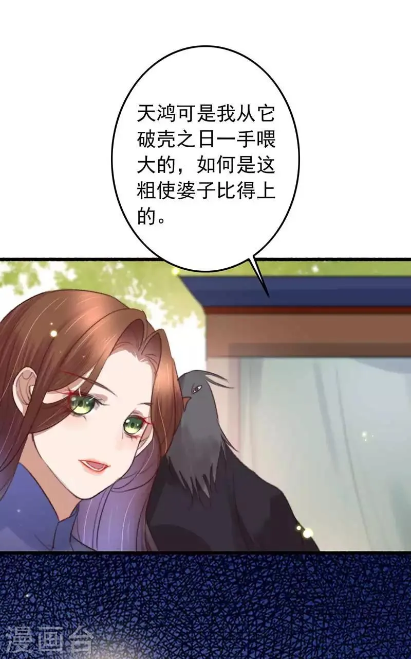 第132话 赌赢了 第13页