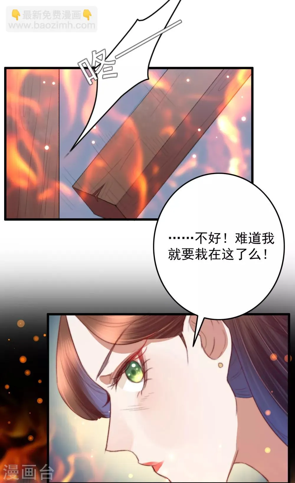 第56话 烈焰无阻美人归 第29页