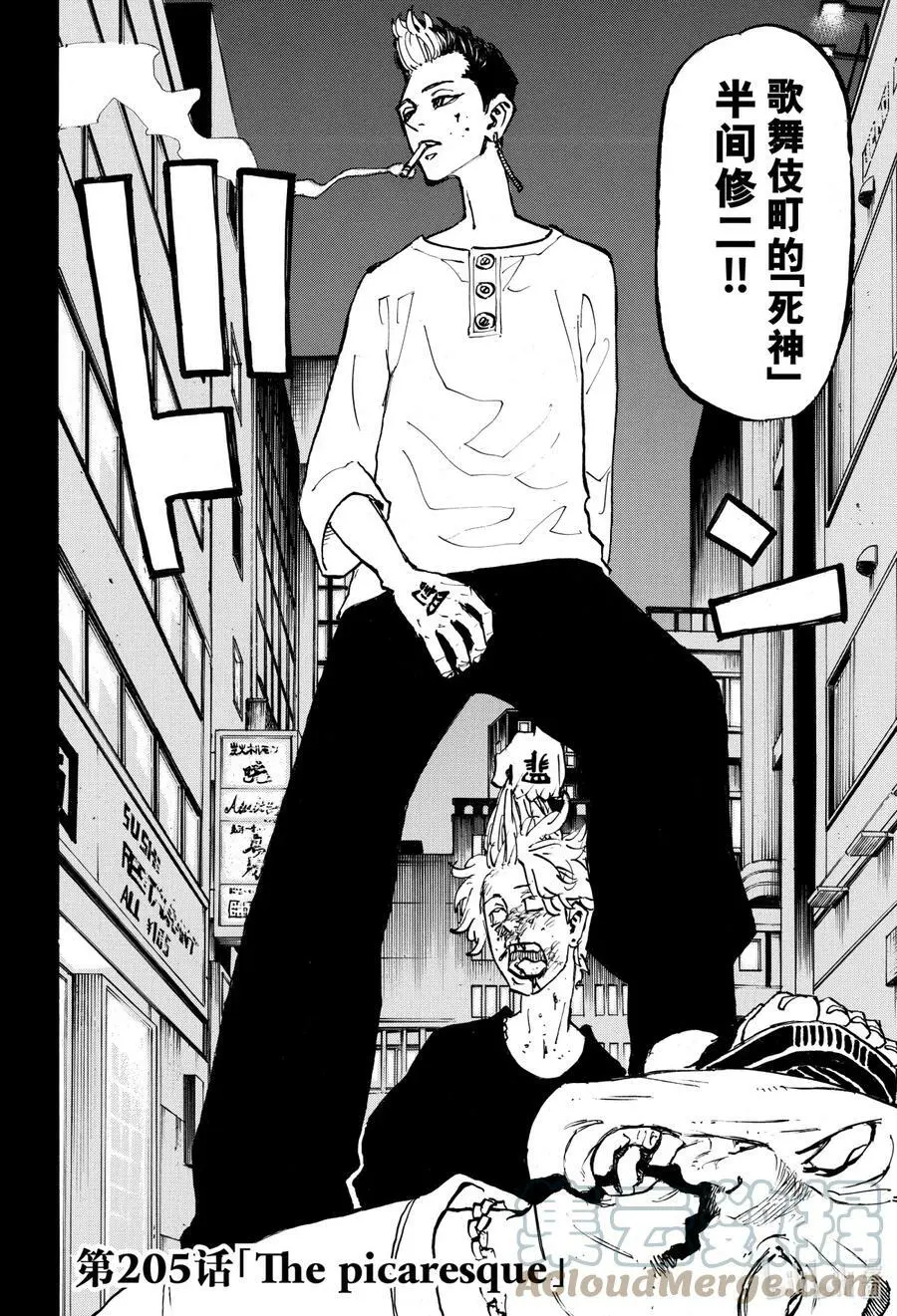 205 番外篇 The picaresque 第3页
