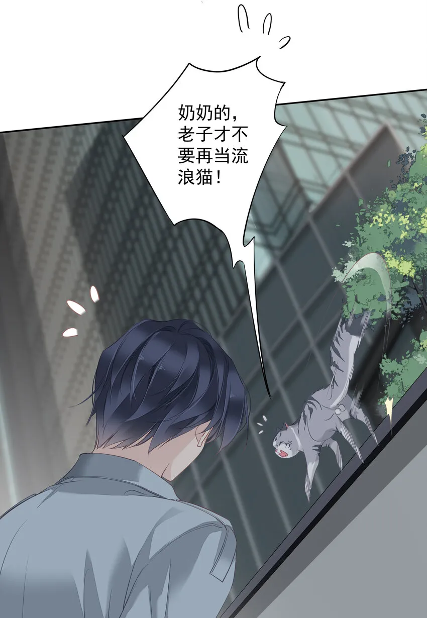 053 另一个思睿？ 第16页