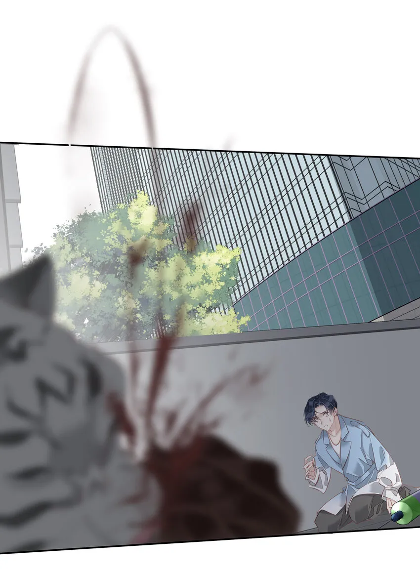 053 另一个思睿？ 第28页