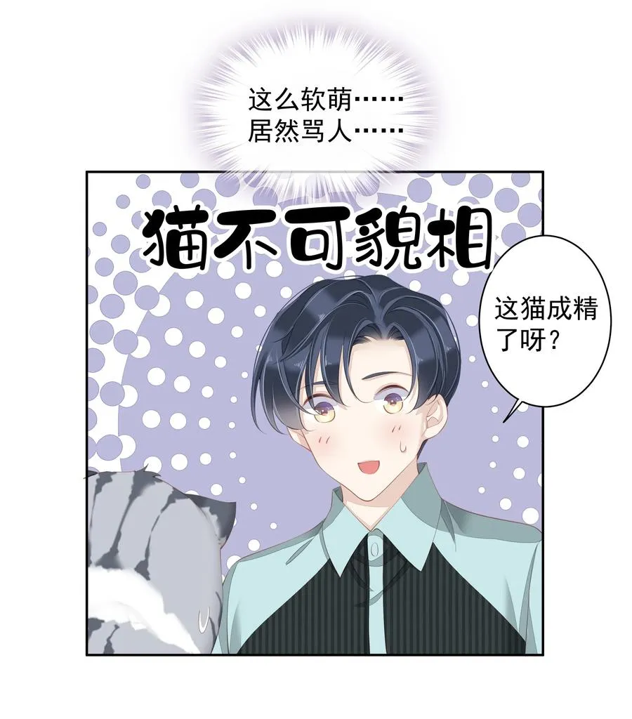 022 白玉狸 第26页