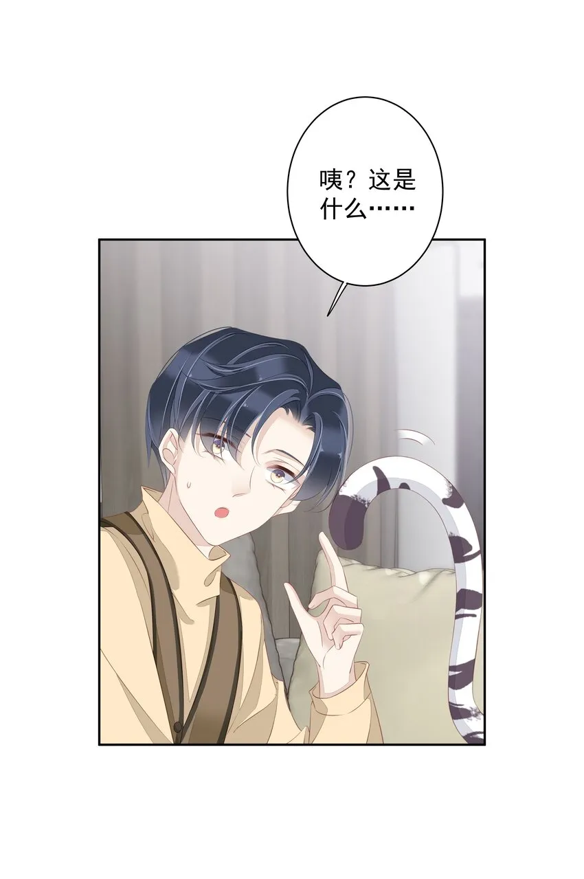 005 尾巴，露出来了? 第49页