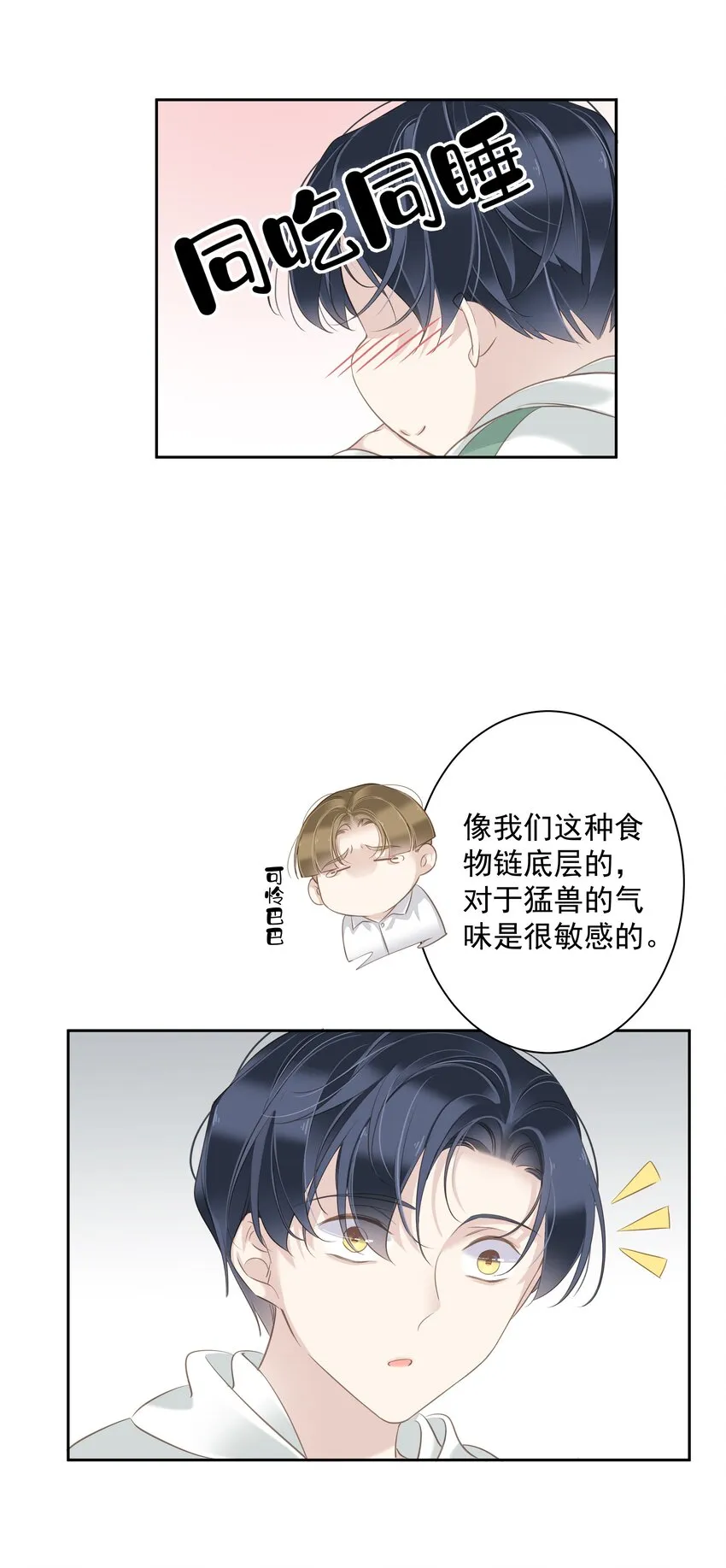 041 让脏话猫自己找吃的 第11页