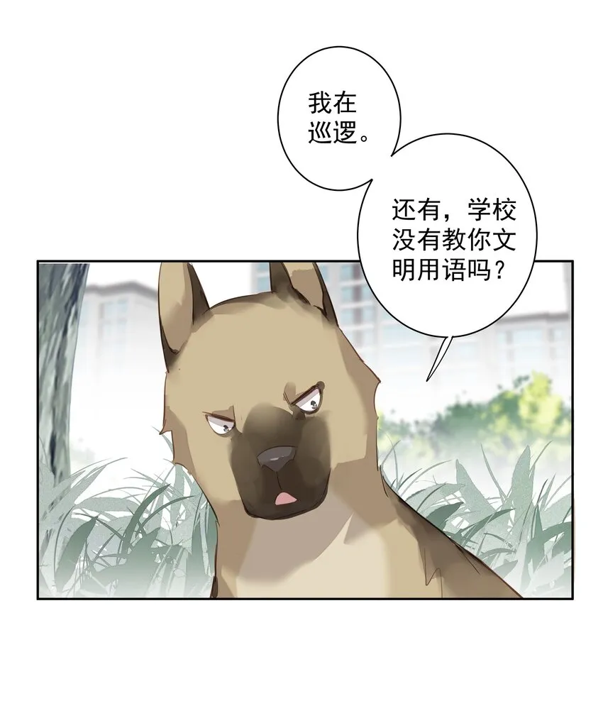 049我要正式和你约会 第33页